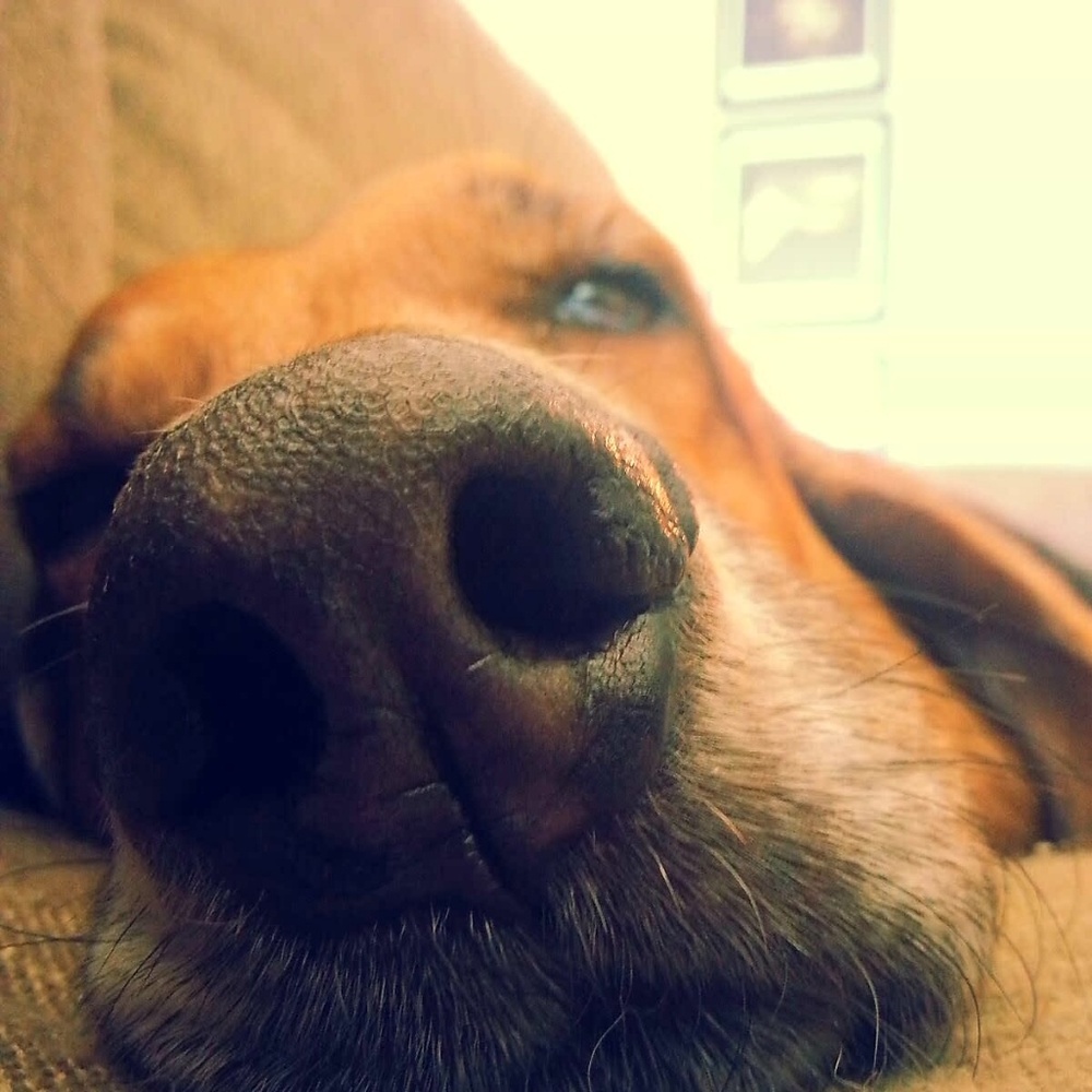 Watcha doin? Poshin?